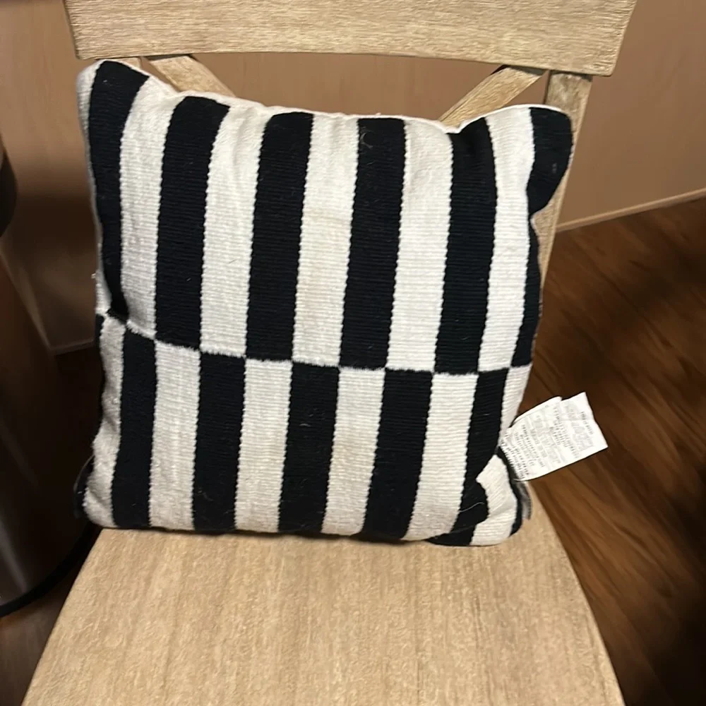Pottery Barn outdoor pillow
